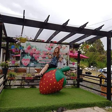Berries Residence Kampong Kundassan 外观 照片
